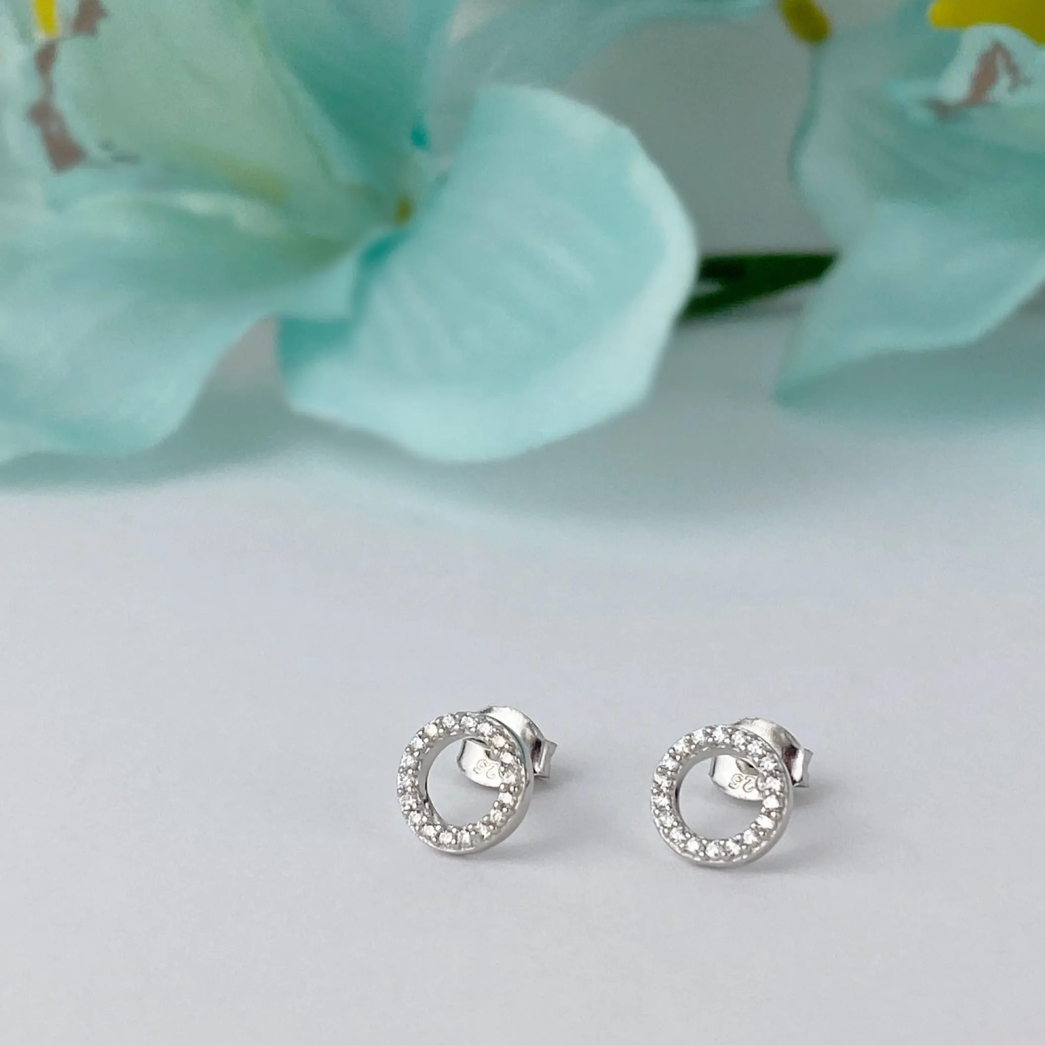 Circlet Sparkle Earrings - SE4762