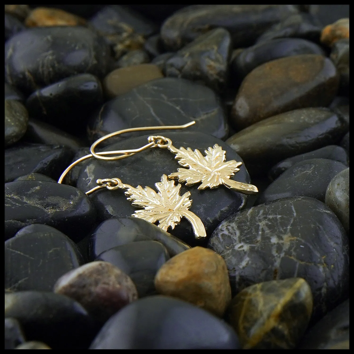 Maple Leaf Earrings in Gold