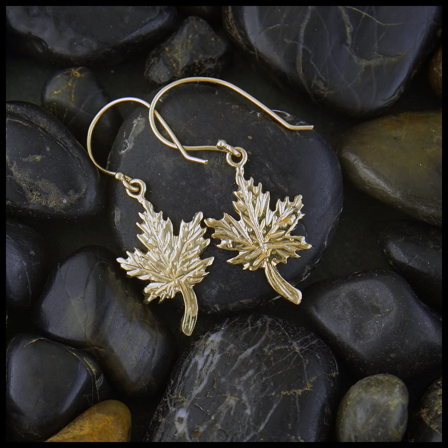 Maple Leaf Earrings in Gold