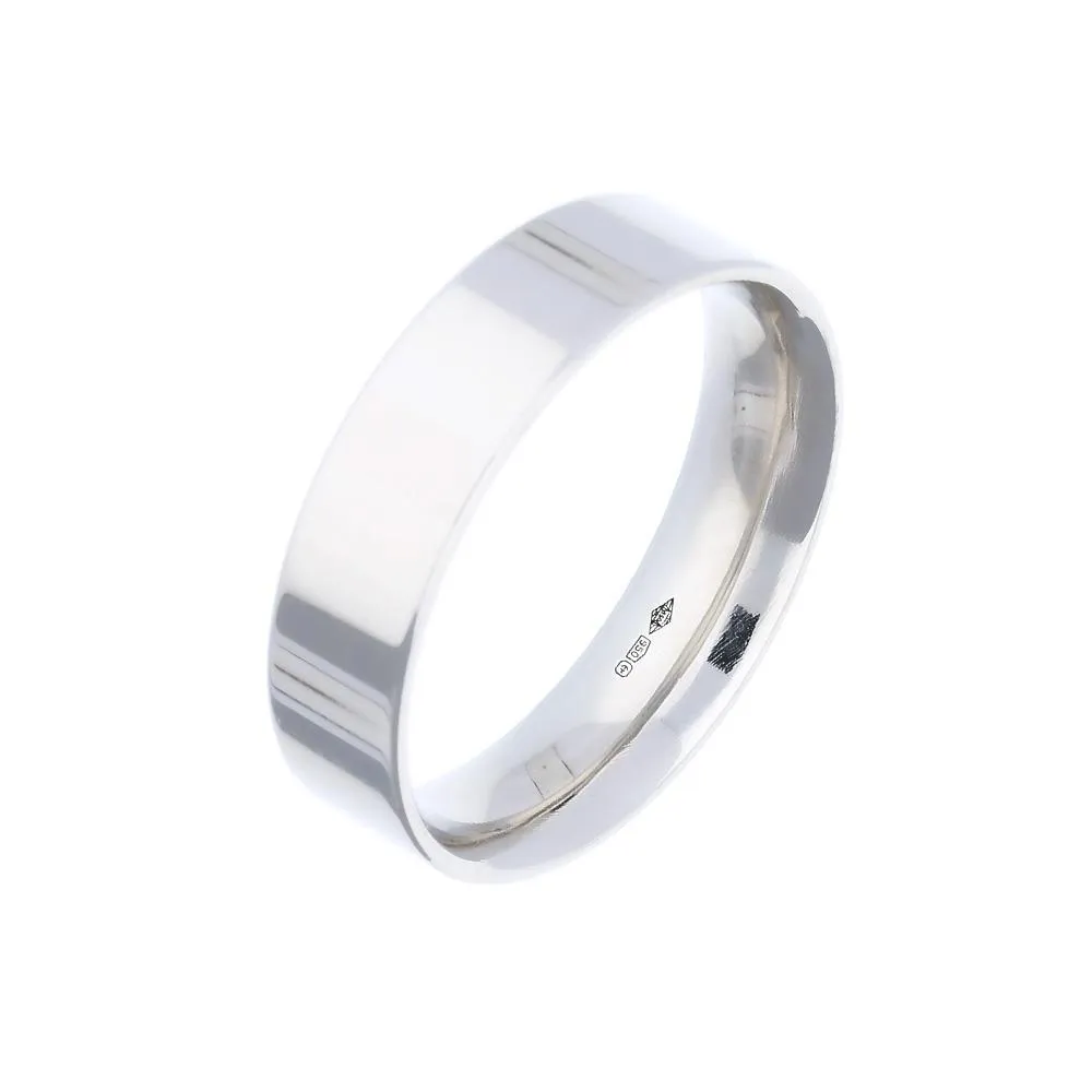 Platinum 6mm flat court band